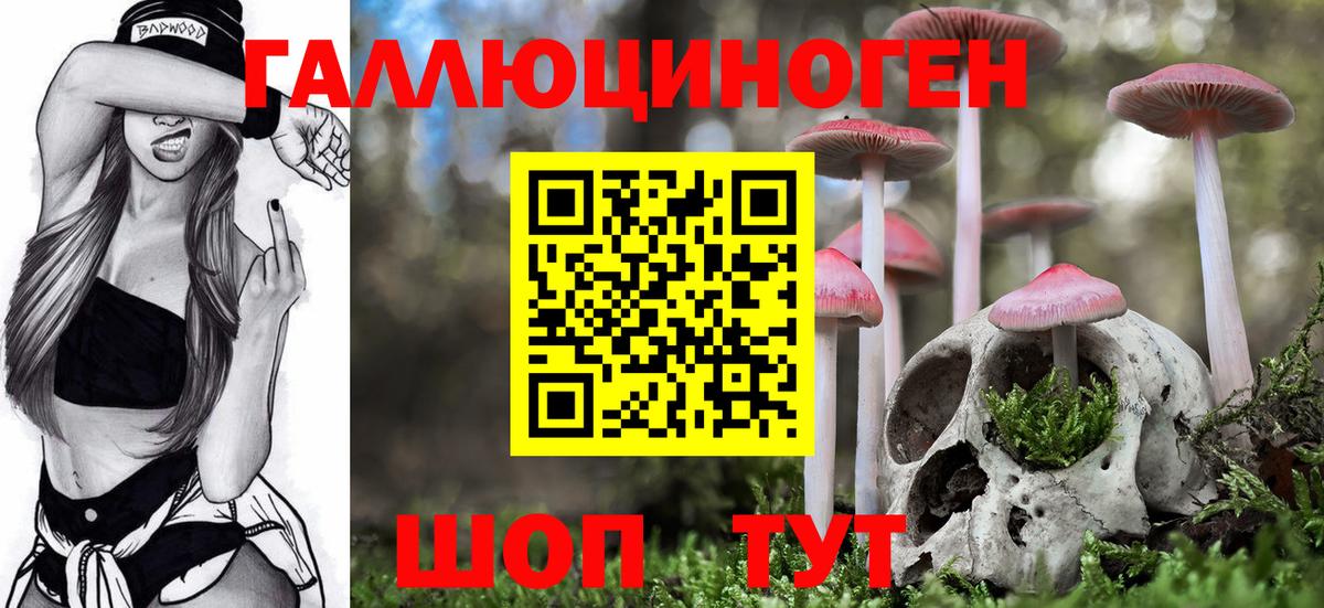 Губаха  Галлюциногенные грибы мицелий  Вход с VPN 